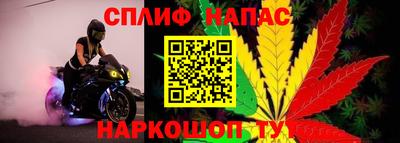 гидра Малоярославец