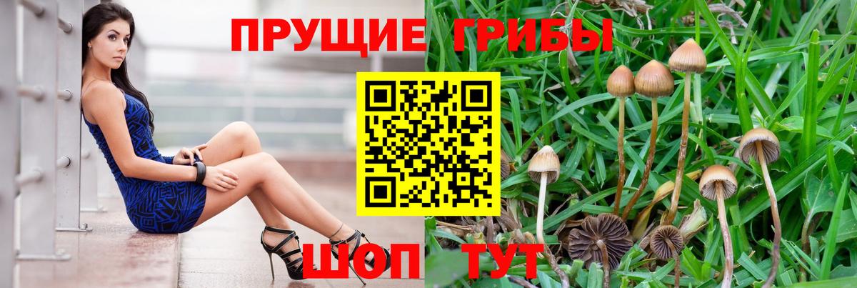 Галлюциногенные грибы Cubensis  Галлюциногенные грибы Psilocybine cubensis  Великий Устюг  Вход с VPN 