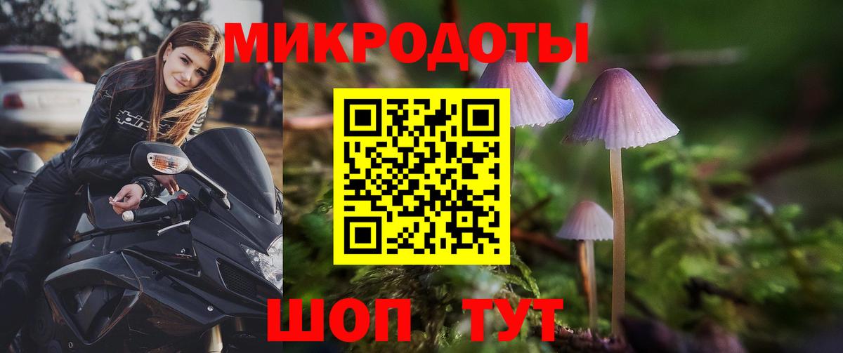 Галлюциногенные грибы Psilocybe Великий Устюг